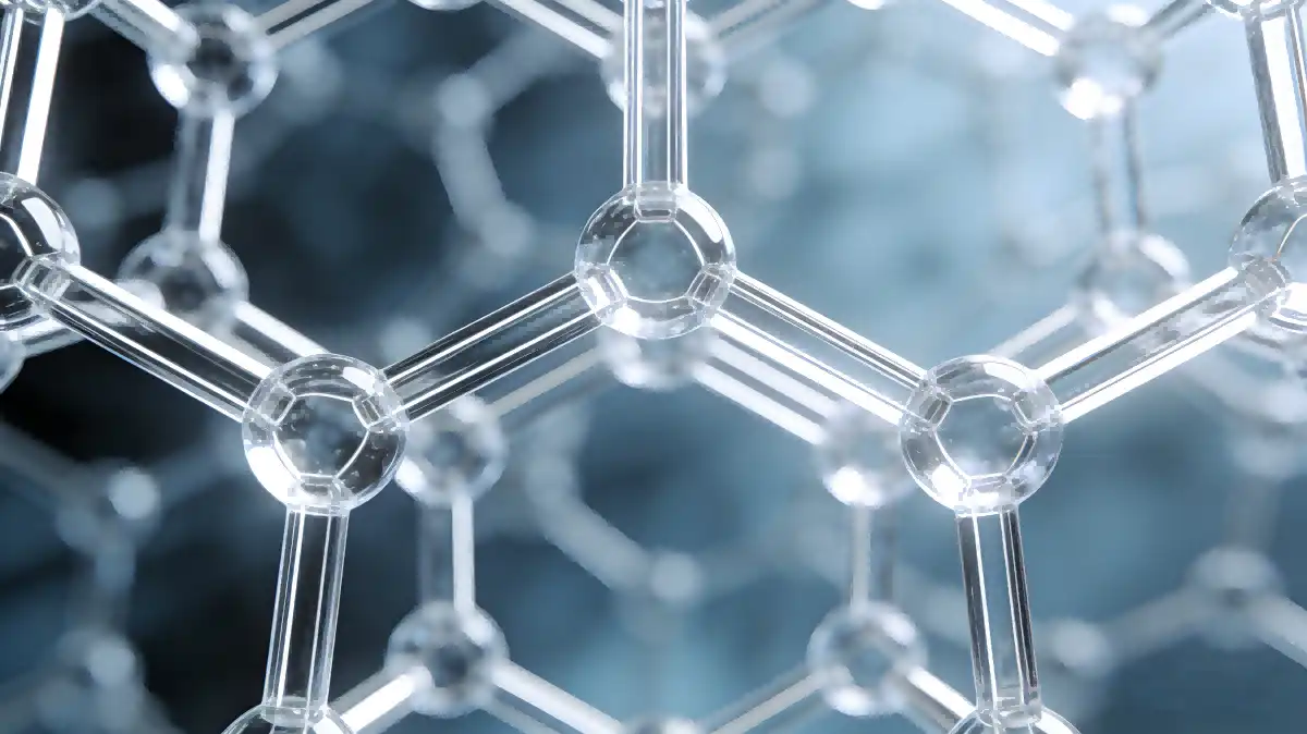 Nicotinamide Riboside Powder Nicotinamide Riboside Powder
