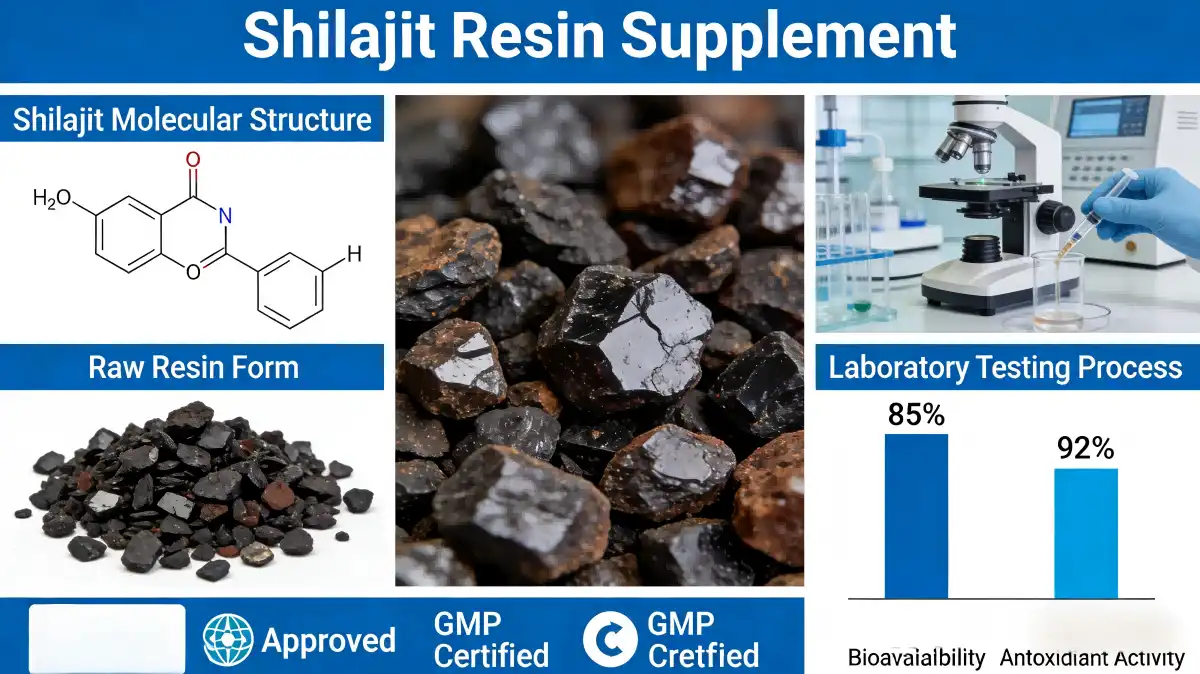 Shilajit Resin Shilajit Resin