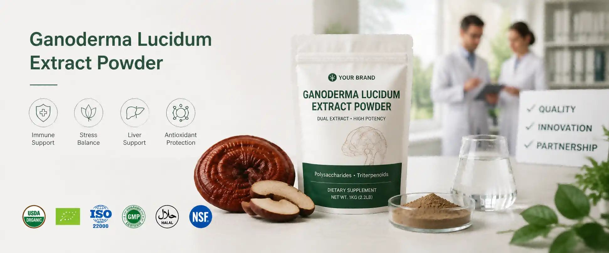 Ganoderma Lucidum Extract Powder Ganoderma Lucidum Extract Powder