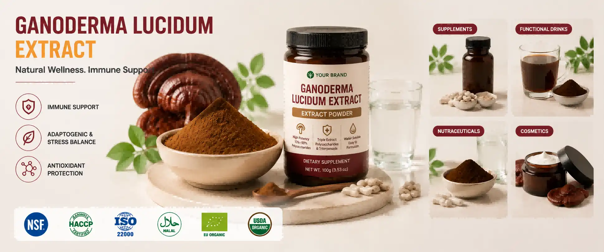 Ganoderma Lucidum Extract Powder Ganoderma Lucidum Extract Powder