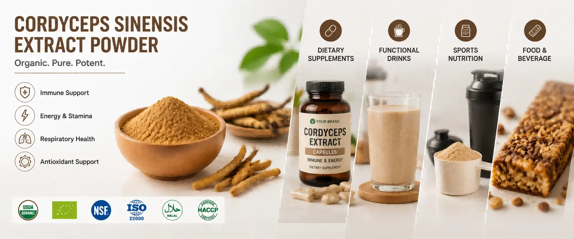 Cordyceps Sinensis Extract Powder