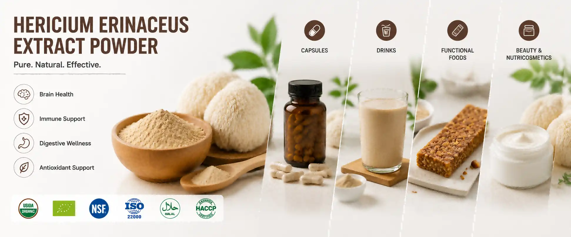 Hericium erinaceus extract powder