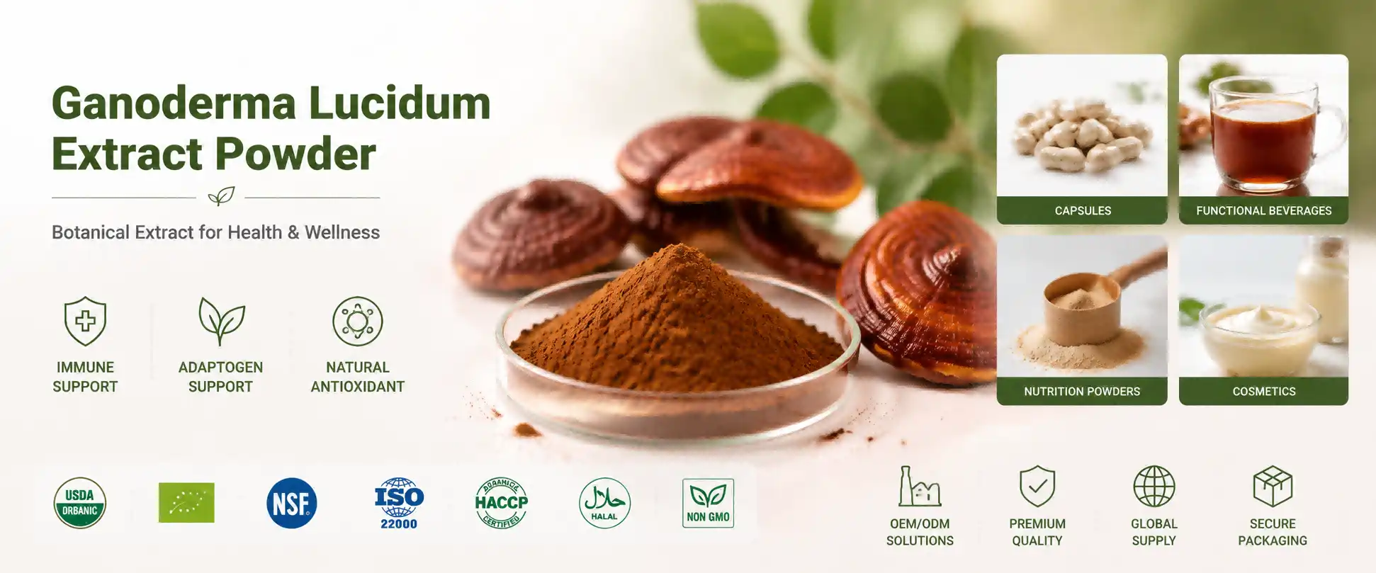 Ganoderma Lucidum Extract Powder Ganoderma Lucidum Extract Powder