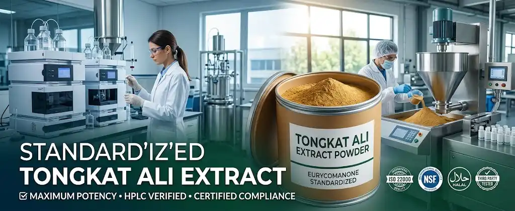 Tongkat ali extract powder Tongkat ali extract powder